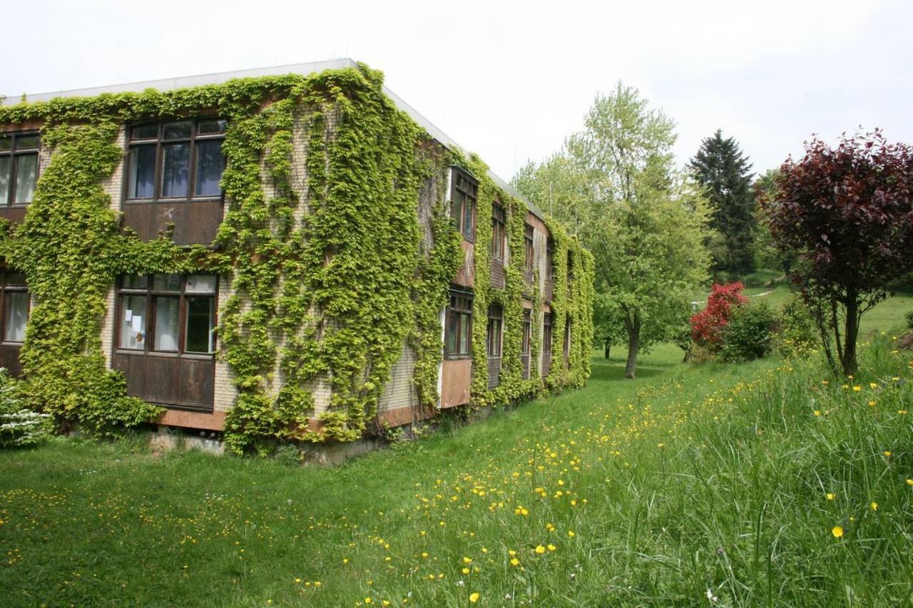 Parkblick Appartement - Entspannung Pur! Ober-Hambach Kültér fotó